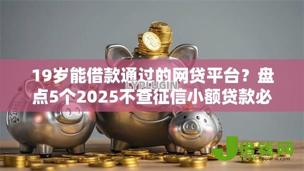 19岁能借款通过的网贷平台？盘点5个2025不查征信小额贷款必下口子给你参考
