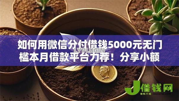 如何用微信分付借钱5000元无门槛本月借款平台力荐！分享小额网贷口子5000元无门槛借款