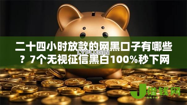 二十四小时放款的网黑口子有哪些？7个无视征信黑白100%秒下网贷软件推荐给你