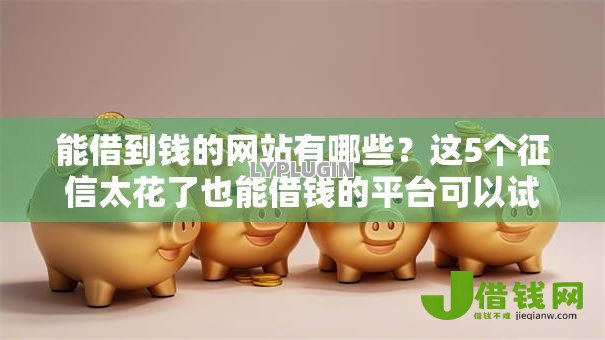 能借到钱的网站有哪些？这5个征信太花了也能借钱的平台可以试试