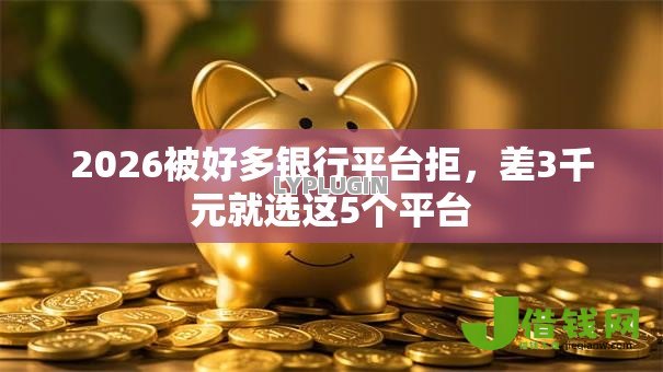 2026被好多银行平台拒，差3千元就选这5个平台
