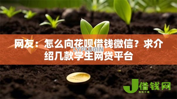 网友：怎么向花呗借钱微信？求介绍几款学生网贷平台