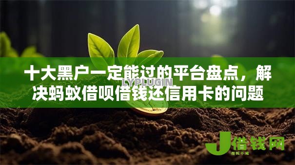 十大黑户一定能过的平台盘点,解决蚂蚁借呗借钱还信用卡的问题 十大黑户一定能过的平台盘点,解决蚂蚁借呗借钱还信用卡的问题