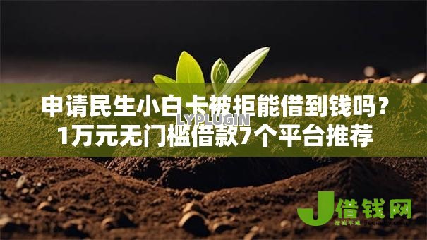 申请民生小白卡被拒能借到钱吗？1万元无门槛借款7个平台推荐