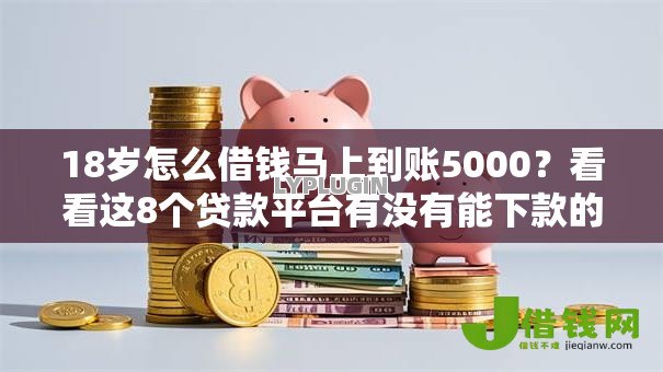 18岁怎么借钱马上到账5000？看看这8个贷款平台有没有能下款的