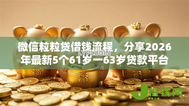 微信粒粒贷借钱流程，分享2026年最新5个61岁一63岁贷款平台