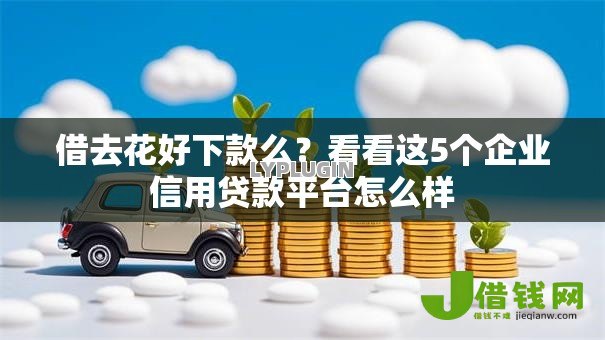 借去花好下款么？看看这5个企业信用贷款平台怎么样