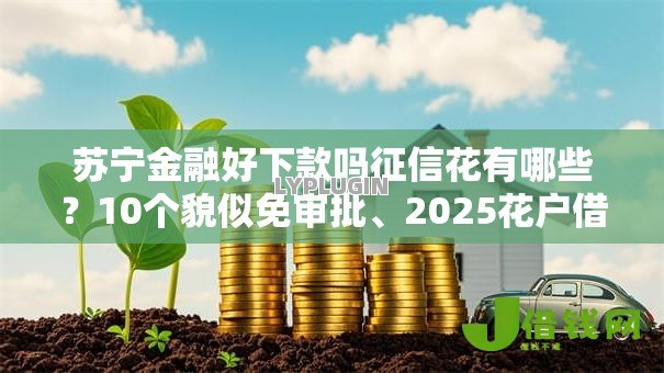 苏宁金融好下款吗征信花有哪些?10个貌似免审批、2025花户借钱的平台100%能借到合集 苏宁金融好下款吗征信花有哪些?10个貌似免审批、2025花户借钱的平台100%能借到合集