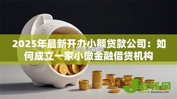2025年最新开办小额贷款公司:如何成立一家小微金融借贷机构 2025年最新开办小额贷款公司:如何成立一家小微金融借贷机构