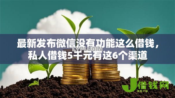 最新发布微信没有功能这么借钱，私人借钱5千元有这6个渠道