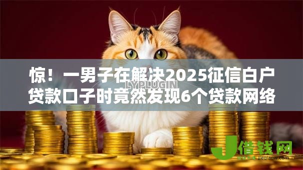 惊！一男子在解决2025征信白户贷款口子时竟然发现6个贷款网络平台，事后分享了出来