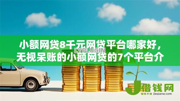 小额网贷8千元网贷平台哪家好，无视呆账的小额网贷的7个平台介绍