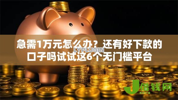 急需1万元怎么办？还有好下款的口子吗试试这6个无门槛平台