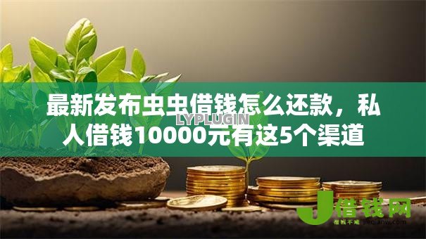最新发布虫虫借钱怎么还款,私人借钱10000元有这5个渠道 最新发布虫虫借钱怎么还款,私人借钱10000元有这5个渠道