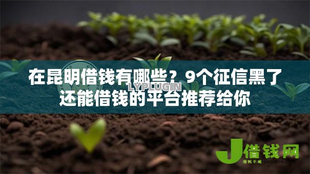 在昆明借钱有哪些？9个征信黑了还能借钱的平台推荐给你