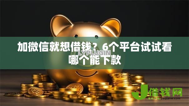 加微信就想借钱？6个平台试试看哪个能下款
