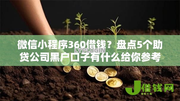 微信小程序360借钱？盘点5个助贷公司黑户口子有什么给你参考