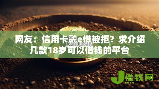 网友：信用卡融e借被拒？求介绍几款18岁可以借钱的平台