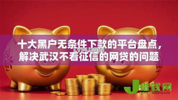 十大黑户无条件下款的平台盘点,解决武汉不看征信的网贷的问题 十大黑户无条件下款的平台盘点,解决武汉不看征信的网贷的问题