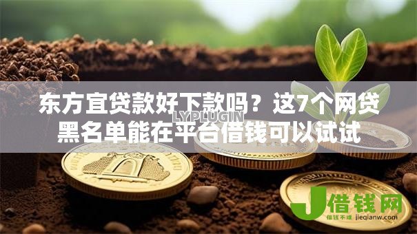 东方宜贷款好下款吗?这7个网贷黑名单能在平台借钱可以试试 东方宜贷款好下款吗?这7个网贷黑名单能在平台借钱可以试试