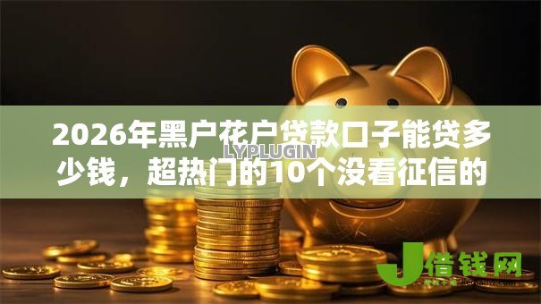 2026年黑户花户贷款口子能贷多少钱，超热门的10个没看征信的平台推荐