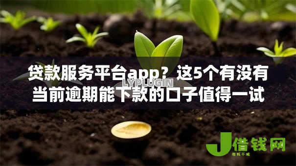 贷款服务平台app?这5个有没有当前逾期能下款的口子值得一试 贷款服务平台app?这5个有没有当前逾期能下款的口子值得一试