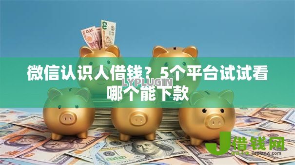 微信认识人借钱？5个平台试试看哪个能下款