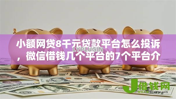 小额网贷8千元贷款平台怎么投诉，微信借钱几个平台的7个平台介绍