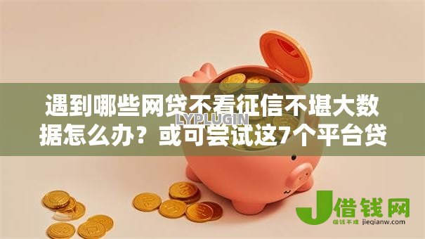 遇到哪些网贷不看征信不堪大数据怎么办？或可尝试这7个平台贷款正规