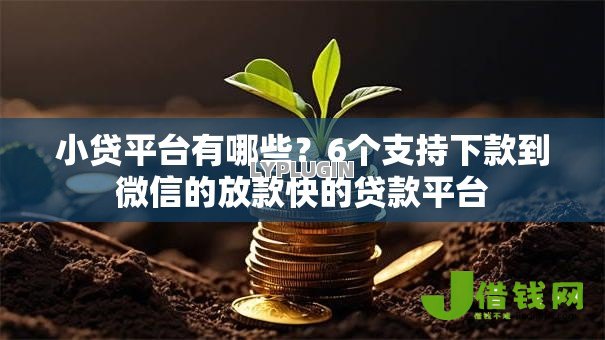 小贷平台有哪些？6个支持下款到微信的放款快的贷款平台