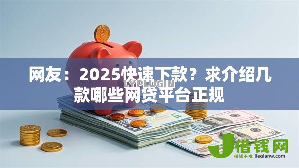 网友：2025快速下款？求介绍几款哪些网贷平台正规