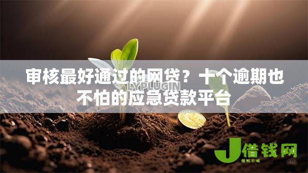 审核最好通过的网贷?十个逾期也不怕的应急贷款平台 审核最好通过的网贷?十个逾期也不怕的应急贷款平台