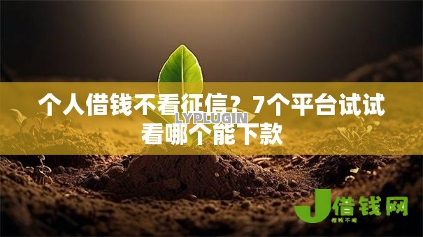 个人借钱不看征信?7个平台试试看哪个能下款 个人借钱不看征信?7个平台试试看哪个能下款