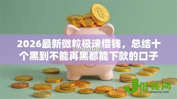 2026最新微粒极速借钱，总结十个黑到不能再黑都能下款的口子！