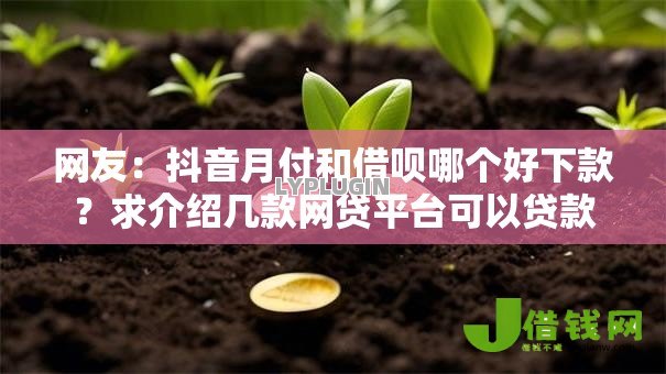 网友：抖音月付和借呗哪个好下款？求介绍几款网贷平台可以贷款