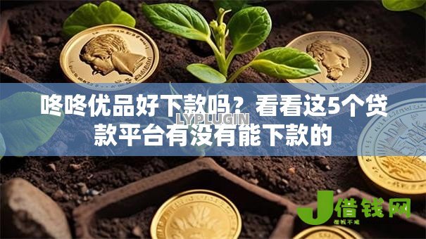 咚咚优品好下款吗?看看这5个贷款平台有没有能下款的 咚咚优品好下款吗?看看这5个贷款平台有没有能下款的