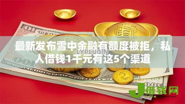 最新发布雪中金融有额度被拒，私人借钱1千元有这5个渠道