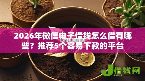 2026年微信电子借钱怎么借有哪些？推荐5个容易下款的平台