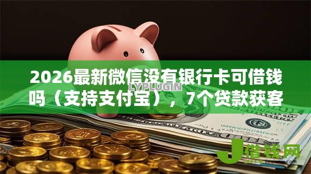 2026最新微信没有银行卡可借钱吗（支持支付宝），7个贷款获客平台无私分享