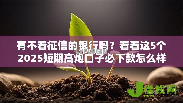 有不看征信的银行吗？看看这5个2025短期高炮口子必下款怎么样