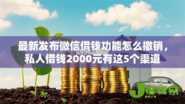 最新发布微信借钱功能怎么撤销,私人借钱2000元有这5个渠道 最新发布微信借钱功能怎么撤销,私人借钱2000元有这5个渠道