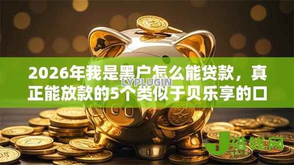2026年我是黑户怎么能贷款，真正能放款的5个类似于贝乐享的口子推荐