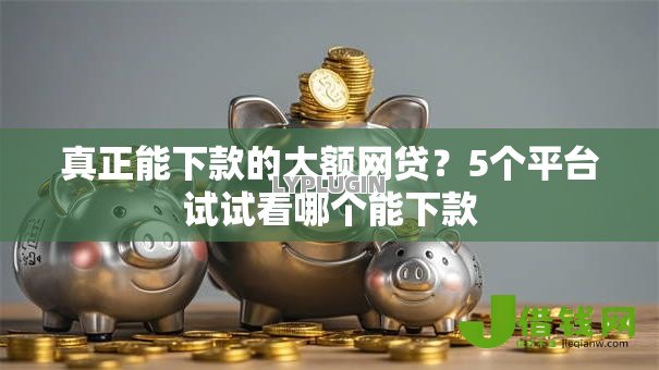真正能下款的大额网贷?5个平台试试看哪个能下款 真正能下款的大额网贷?5个平台试试看哪个能下款