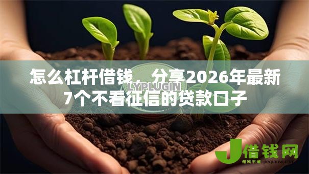 怎么杠杆借钱，分享2026年最新7个不看征信的贷款口子