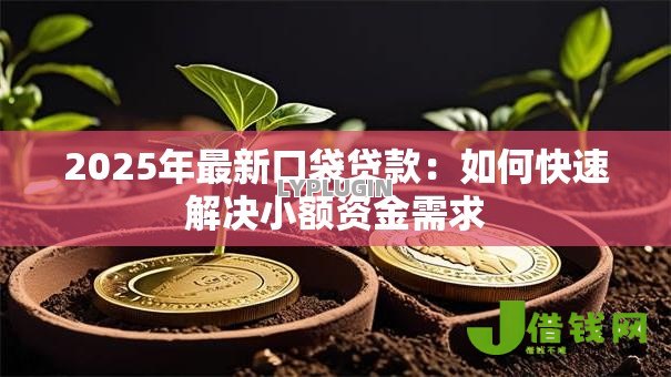 2025年最新口袋贷款:如何快速解决小额资金需求 2025年最新口袋贷款:如何快速解决小额资金需求