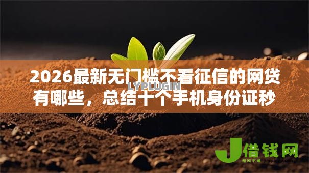 2026最新无门槛不看征信的网贷有哪些，总结十个手机身份证秒借现金的软件！