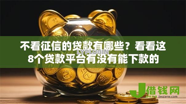 不看征信的贷款有哪些？看看这8个贷款平台有没有能下款的