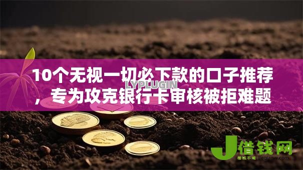 10个无视一切必下款的口子推荐，专为攻克银行卡审核被拒难题