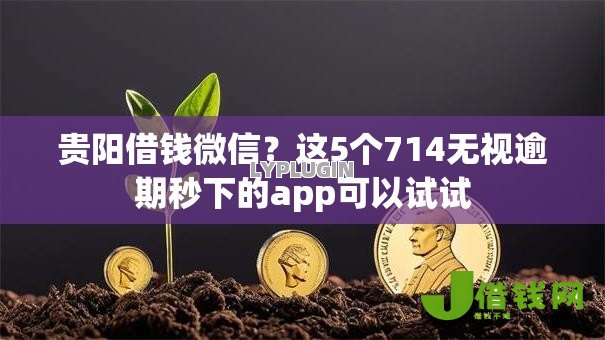 贵阳借钱微信?这5个714无视逾期秒下的app可以试试 贵阳借钱微信?这5个714无视逾期秒下的app可以试试