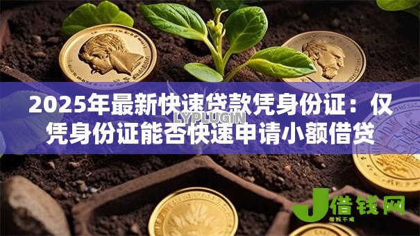 2025年最新快速贷款凭身份证：仅凭身份证能否快速申请小额借贷